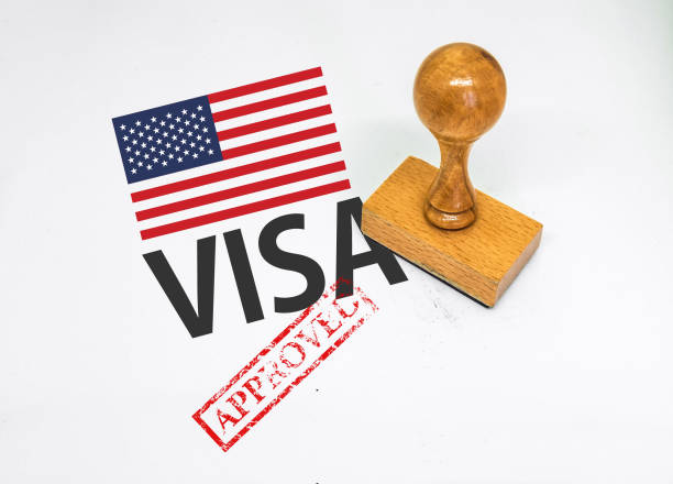 $100k Visa Sponsorship Opportunities